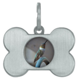 Médaillons Pour Animaux Domestiques Green ruby little hummingbird