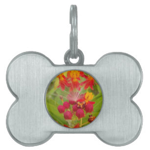 Médaillons Pour Animaux Domestiques Hakuna Matata adorable bourgeons de fleurs vert ro