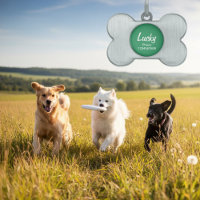 Identificateur de col de chien pour animaux de com