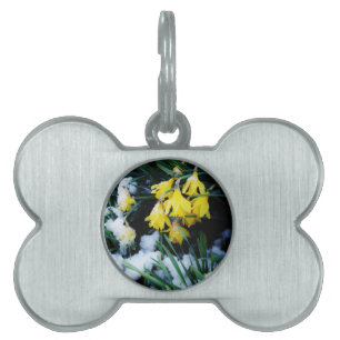 Médaillons Pour Animaux Domestiques Jaune Daffodils fleurs dans la neige