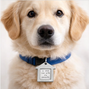 Médaillons Pour Animaux Domestiques J'identification de l'animal de compagnie Chien Ch