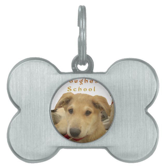 Médaillons Pour Animaux Domestiques "La vie est l'école la plus difficile" (Devant)