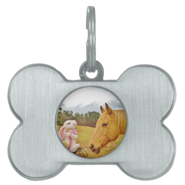 Médaillons Pour Animaux Domestiques Lapin blanc et Cheval jaune (Devant)