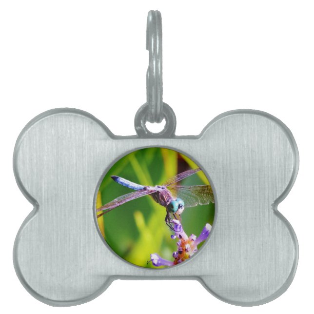 Médaillons Pour Animaux Domestiques libellule turquoise et violette (Devant)