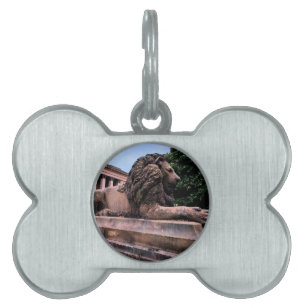 Médaillons Pour Animaux Domestiques Lion