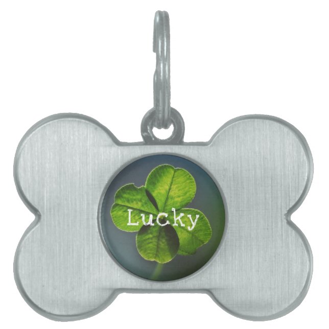 Médaillons Pour Animaux Domestiques Lucky Green Four Leaf Clover (Devant)