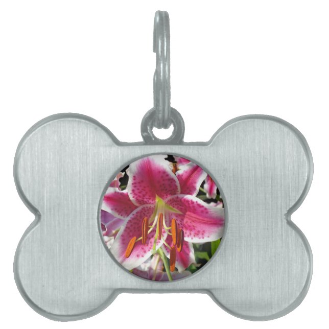 Médaillons Pour Animaux Domestiques Lys roses fleurs tropicales roses rose (Devant)