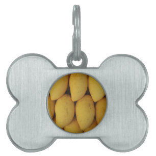 Médaillons Pour Animaux Domestiques Mango