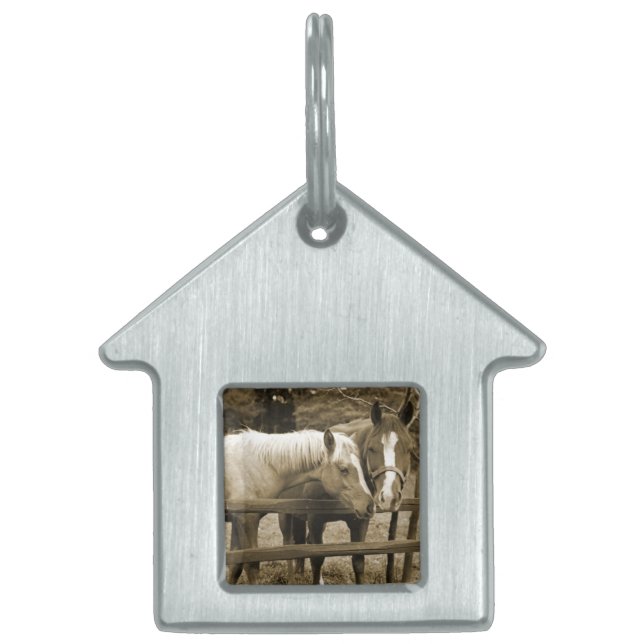 Médaillons Pour Animaux Domestiques Meilleurs amis (Devant)