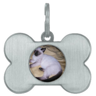 Médaillons Pour Animaux Domestiques Minou mignon d'animal familier animal d'art de