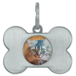 Médaillons Pour Animaux Domestiques Miss Tootles