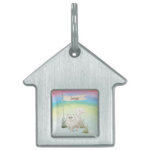 Médaillons Pour Animaux Domestiques Nom personnalisé Animal de chat persan