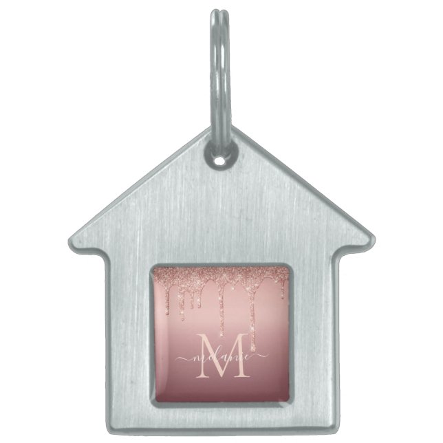 Médaillons Pour Animaux Domestiques Numéro d'identification de l'animal de compagnie G (Devant)