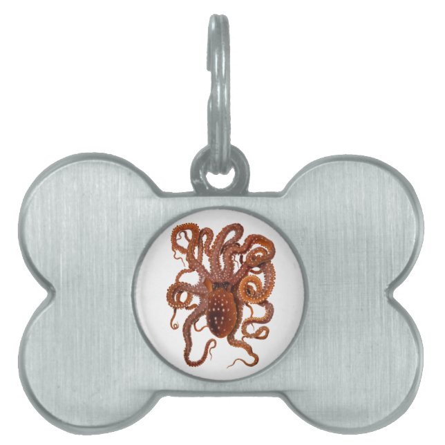 Médaillons Pour Animaux Domestiques Octopus Macropus Atlantique Blanc tacheté Octopus (Devant)