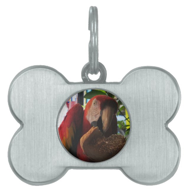 Médaillons Pour Animaux Domestiques Parrot Macaw Scarlet Manger Toast (Devant)