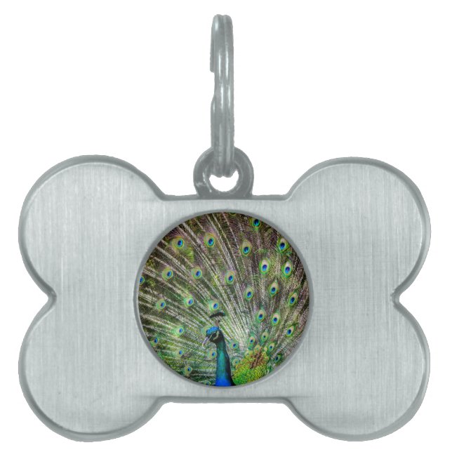 Médaillons Pour Animaux Domestiques Peacock étonnant et plumes accessoires photo (Devant)