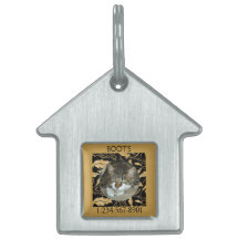 Personnaliser la feuille d'or Faux sur le chat noi