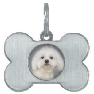 Médaillons Pour Animaux Domestiques Petit chiot maltais blanc