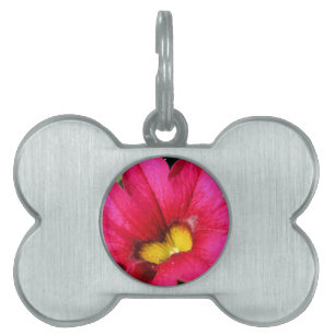 Médaillons Pour Animaux Domestiques Petunia