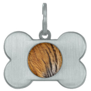 Médaillons Pour Animaux Domestiques Photo Tiger Stripes Big Cat Wildlife