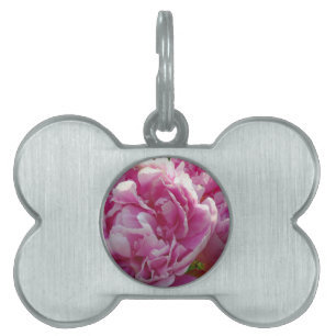 Médaillons Pour Animaux Domestiques Pink Peony photo cottage ferme jardin fleuri