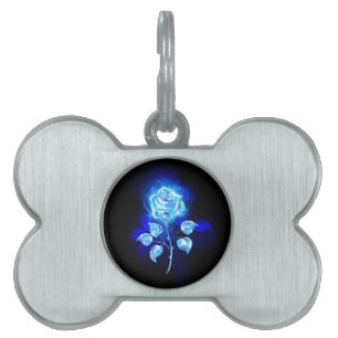 Médaillons Pour Animaux Domestiques Rose bleu brûlant