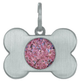 Médaillons Pour Animaux Domestiques Sakura Pink Cherry Blossom Sky