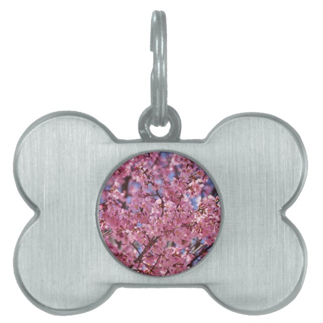 Médaillons Pour Animaux Domestiques Sakura Pink Cherry Blossom Sky (Devant)