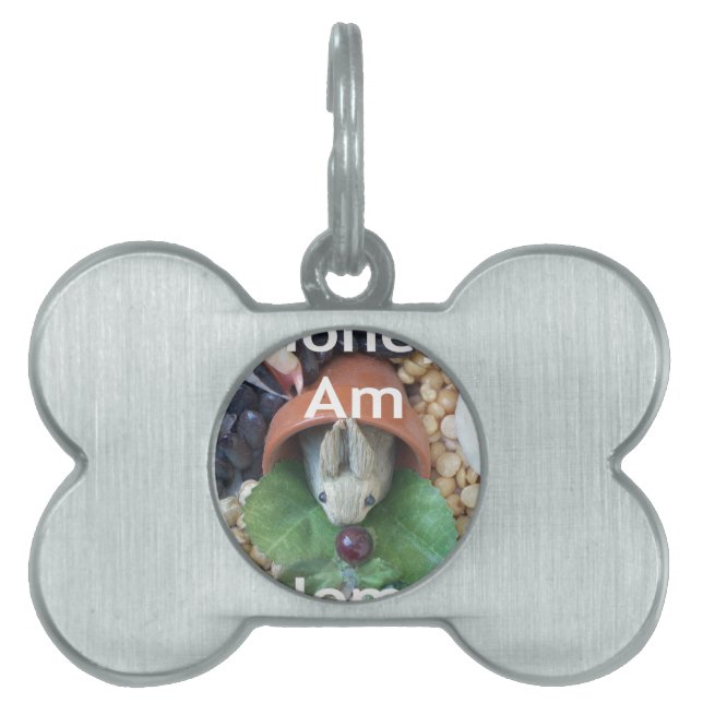 Médaillons Pour Animaux Domestiques Snacking de lapin mignon (Devant)