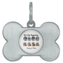 Souvenirs de vie de compagnie 8 Modèle de collage 