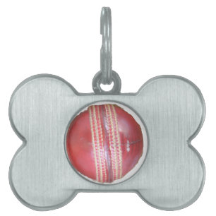 Médaillons Pour Animaux Domestiques Spin Master's Sphere : Une balle de cricket à gauc