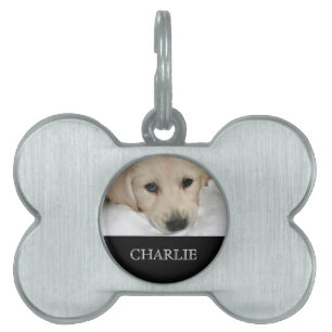 Médaillons Pour Animaux Domestiques Tag de chien photo et nom personnalisé