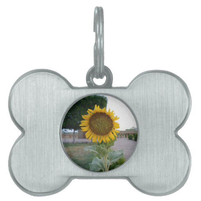 Médaillons Pour Animaux Domestiques Tournesol (Devant)
