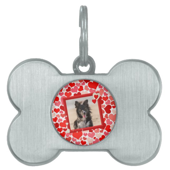 Médaillons Pour Animaux Domestiques Valentines Frontière Collie Coeurs de chien (Devant)