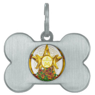 Médaillons Pour Animaux Domestiques Wiccan Pagan Pentacle Gold avec Roses