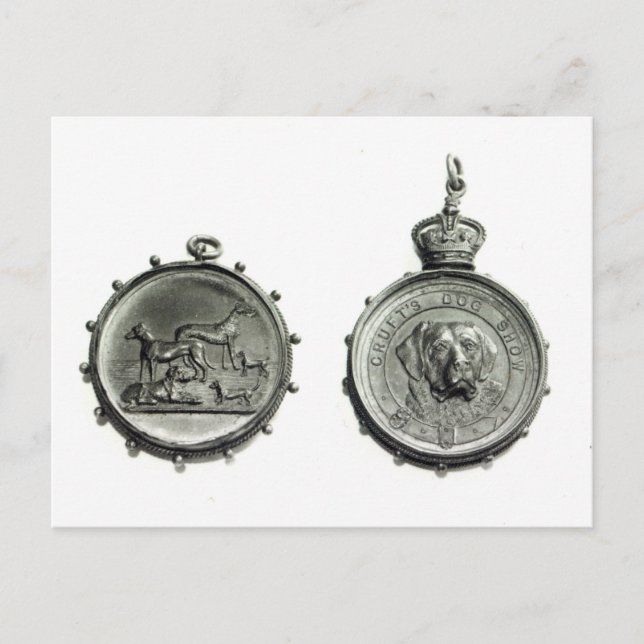 Medals from Cruft's Dog Show, c.1910 Postcard (Front)