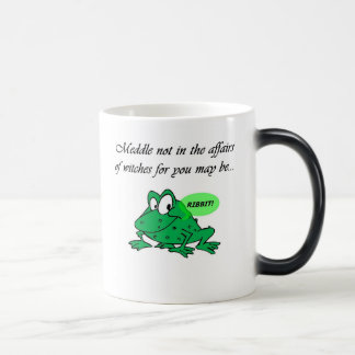 Meddle not in the affairs of witches magic mug