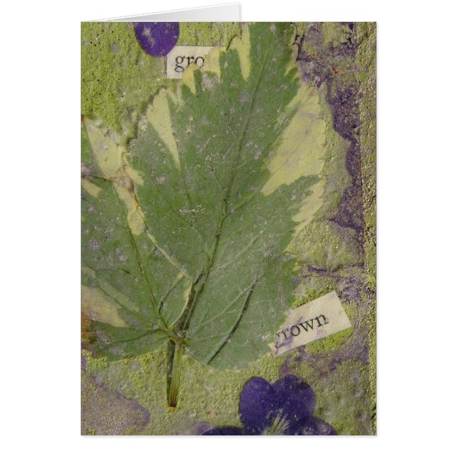 Médias mixtes développés (Devant)