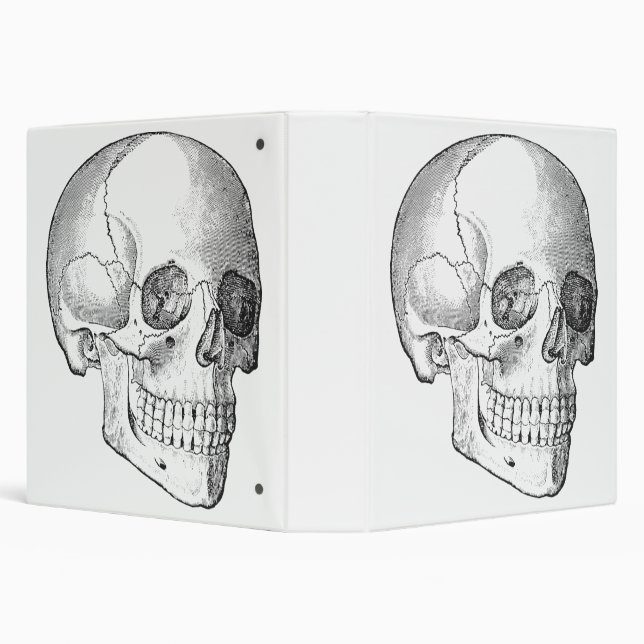 Medical anatomy vintage skull drawing monochrome binder (Background)