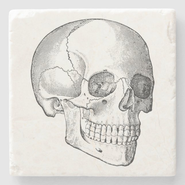Medical anatomy vintage skull drawing monochrome stone coaster (Front)