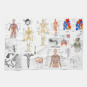 Medical Charts full colour Kitchen Towel