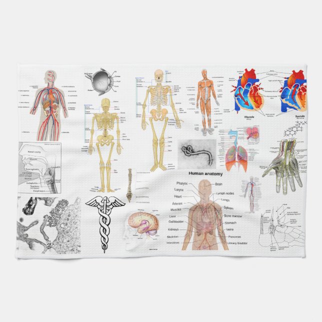 Medical Charts full colour Kitchen Towel (Horizontal)