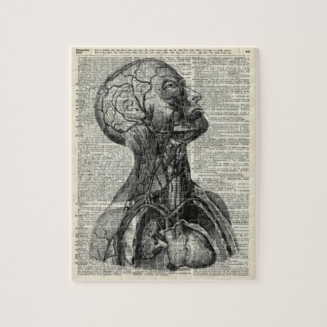 Medical Human Anatomy Jigsaw Puzzle (Vertical)