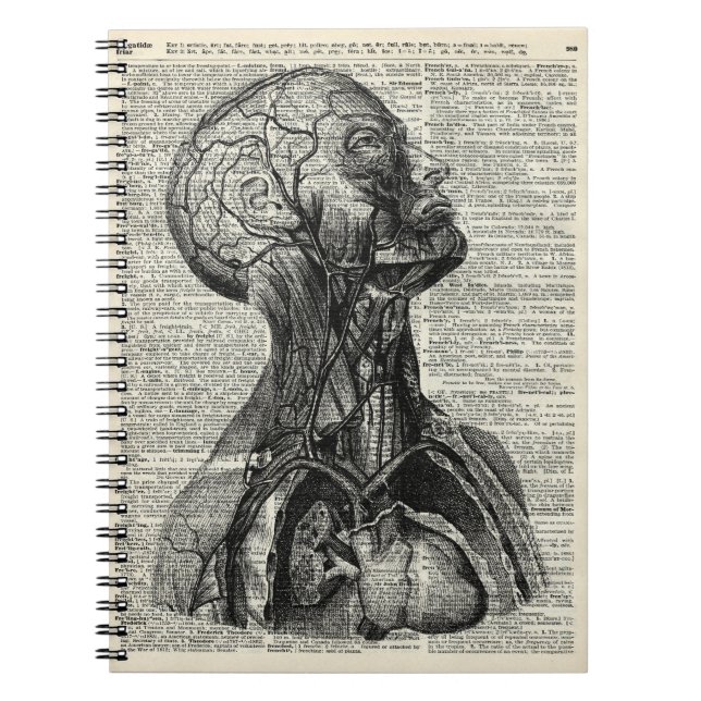 Medical Human Anatomy Notebook (Front)