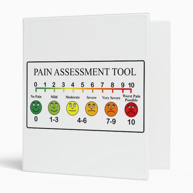 Medical Pain Assessment Tool Chart Binder (Front/Inside)