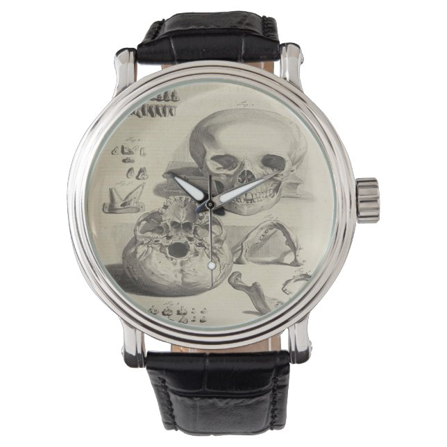 medical skull art watch (Front)