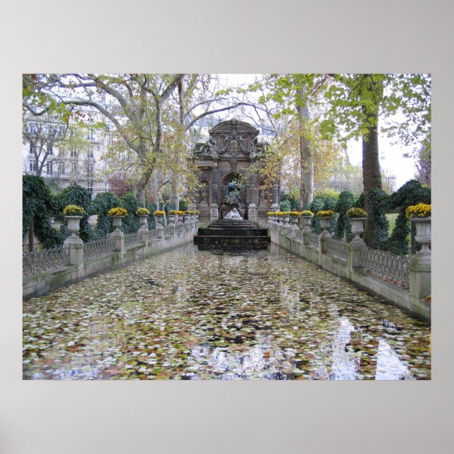 Medici FOuntain Poster (Front)