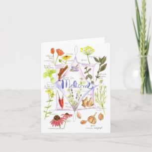 Medicinal Herbs Echinacea Poppy Garlic Notecard