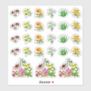 Medicinal Herbs Shaped Stickers Template Sheet