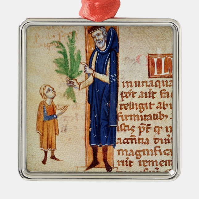 Medicinal Plants Metal Ornament (Front)